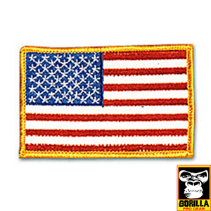 USA-GOLD BORDER PATCH
