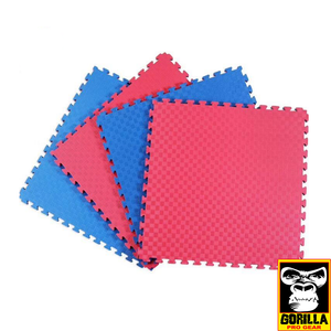 RED AND BLUE MARTIAL ARTS MATS